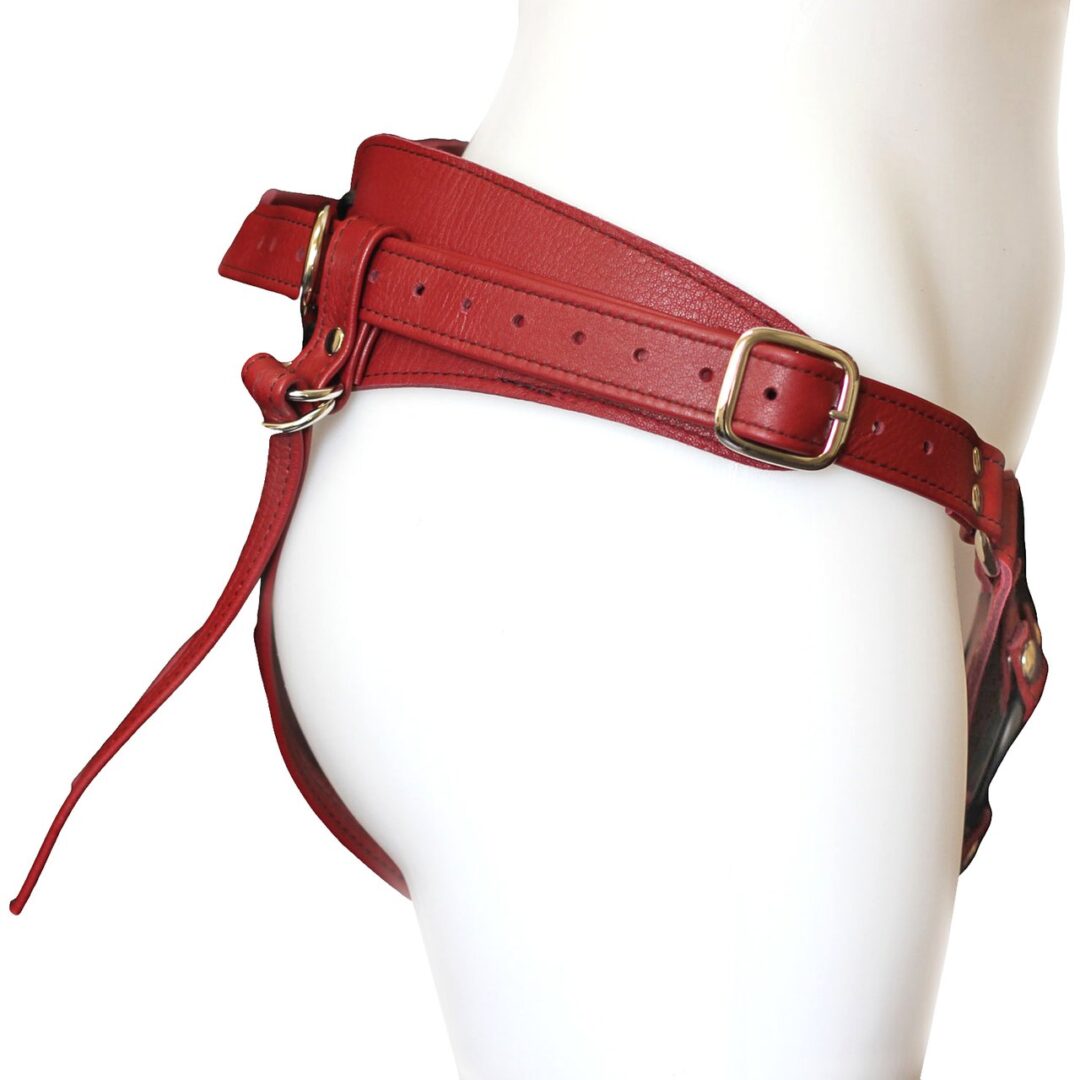 Cherry-Minx-Leather-Strap-On-Harness-A__63288.1493066084.1280.1280