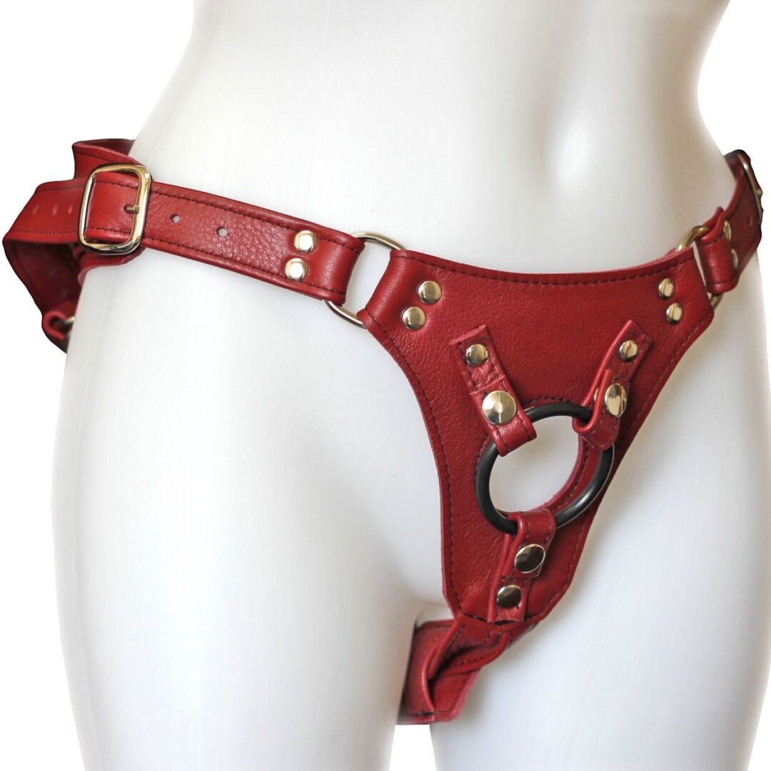 Cherry-Minx-Leather-Strap-On-Harness__25838.1493066084.1280.1280